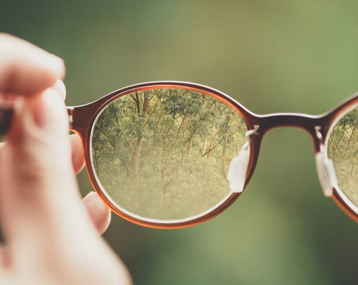 eye glasses being hold up by left hand with plants seen through the lens